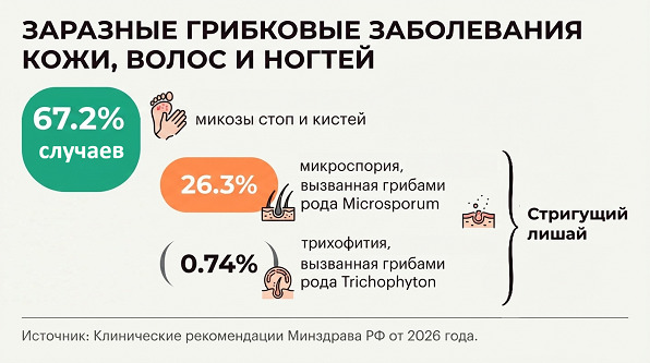 Развитие поражения кожи и подкожной клетчатки неуточненного